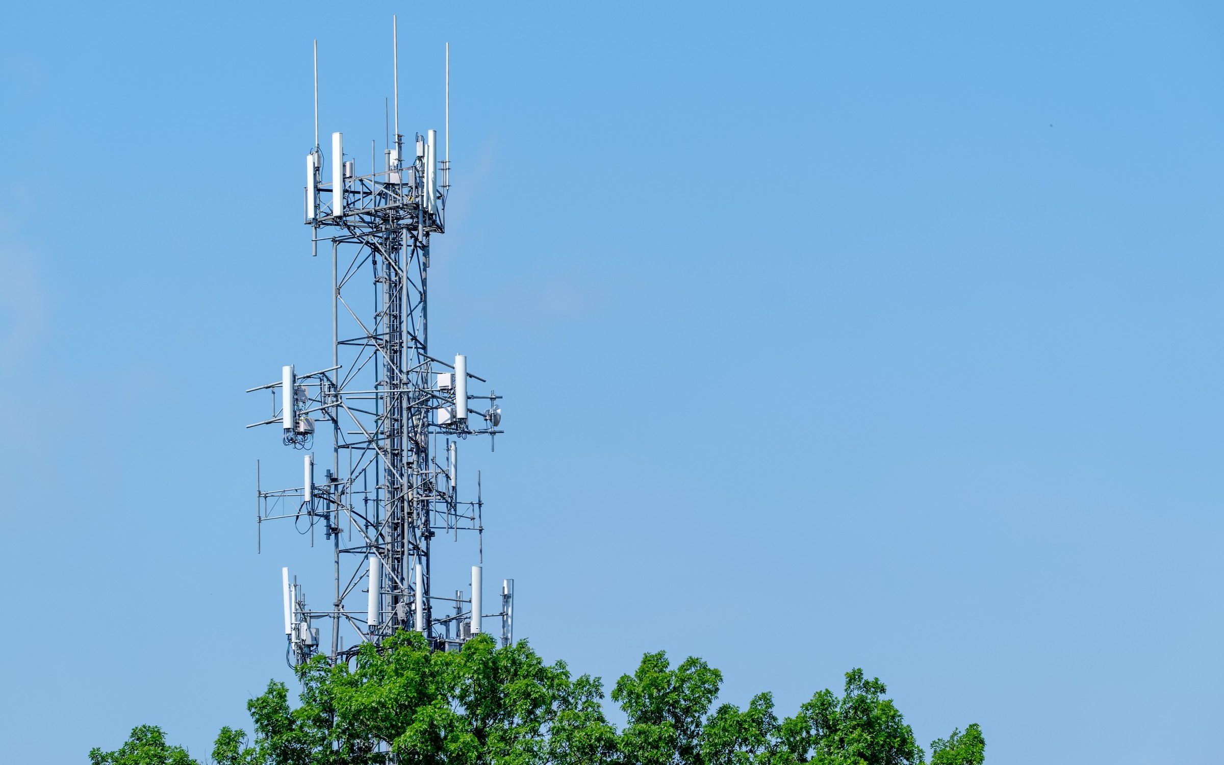Cellular network tower serving a remote area, backed by lithium storage